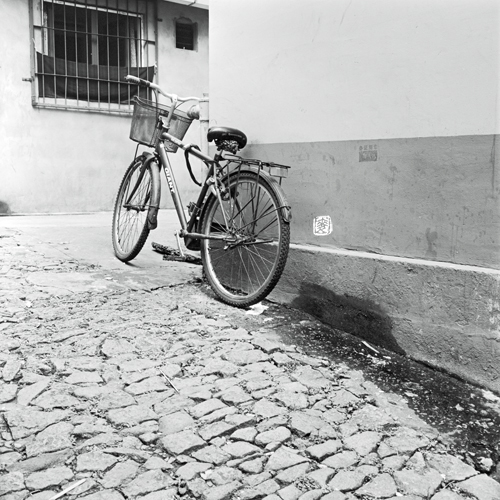 old cobblestone path
