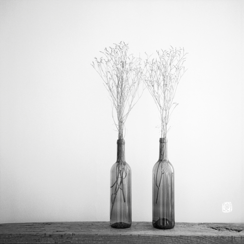 floating weeds